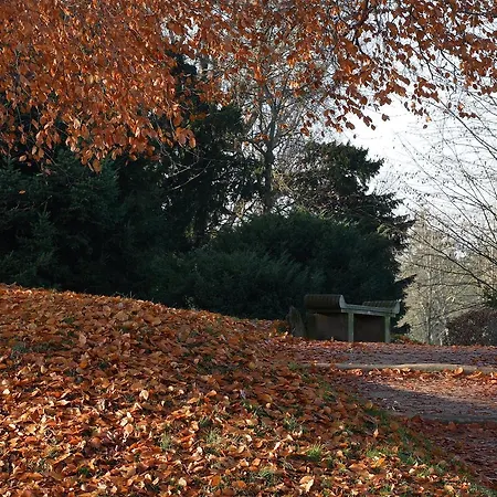 Nyaraló Ferienhaus Tragner Dessau-Rosslau