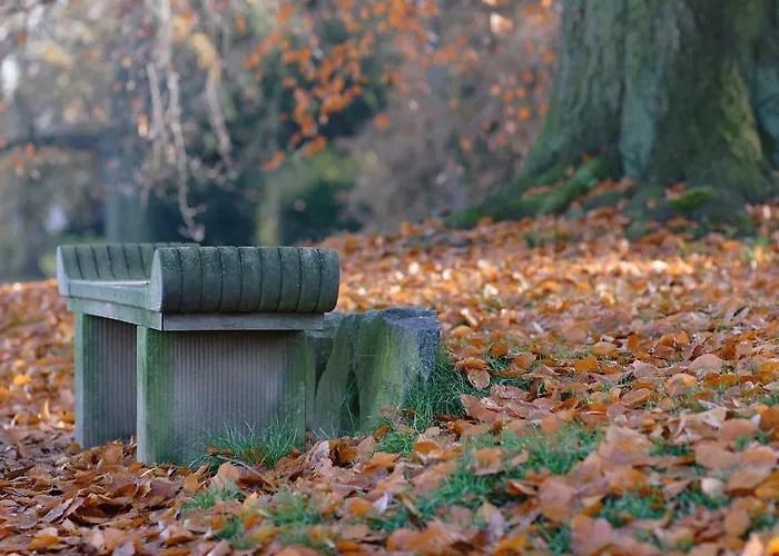 Ferienhaus Tragner Дессау